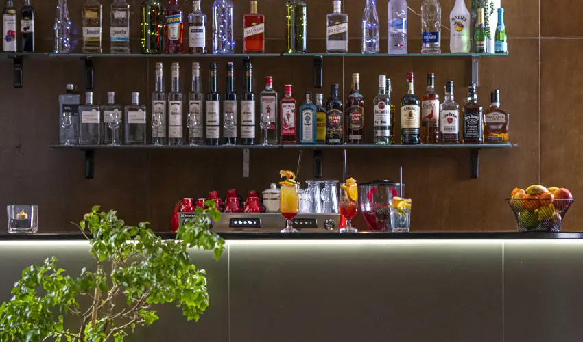 Willis Hotel Business & Wellness Zalaegerszeg - Karcsonyi pihens a Willisben (min. 2 j)