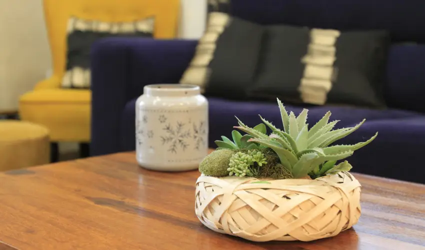 Zenit Panzió Miskolctapolca - Karácsony