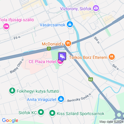 CE Plaza Hotel a trkpen