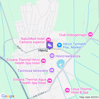 Palace Hotel  a trkpen